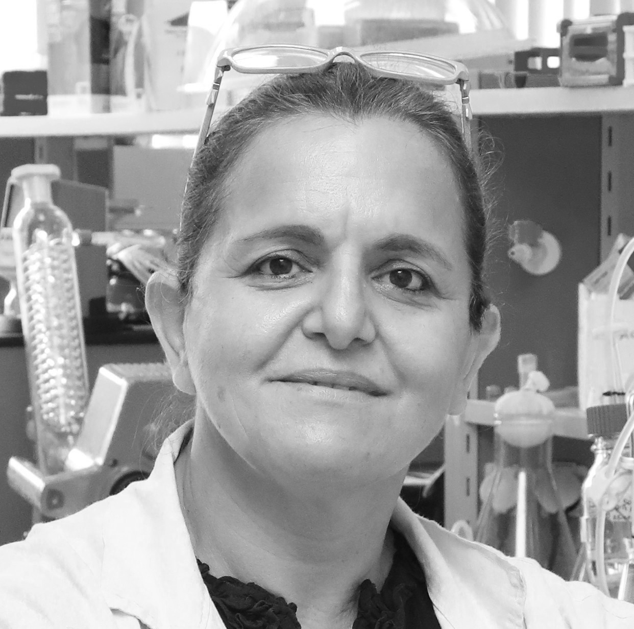 Prof. Dr. Dilek Kazan